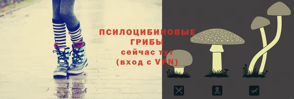 mdpv Арсеньев