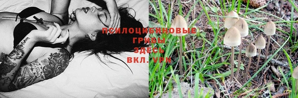 mdpv Арсеньев