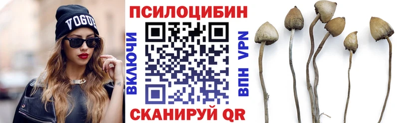 Купить  Луховицы  Псилоцибиновые грибы прущие грибы 