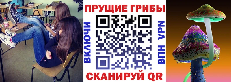 Галлюциногенные грибы мухоморы Луховицы